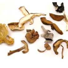 Szárított erdei gombakeverék 30g