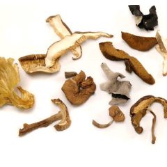 Szárított erdei gombakeverék 30g