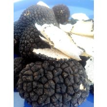 Szarvasgomba szeletek 80g